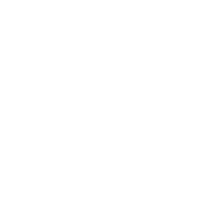 Dauntless Watch Co.